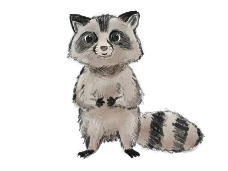Illustration